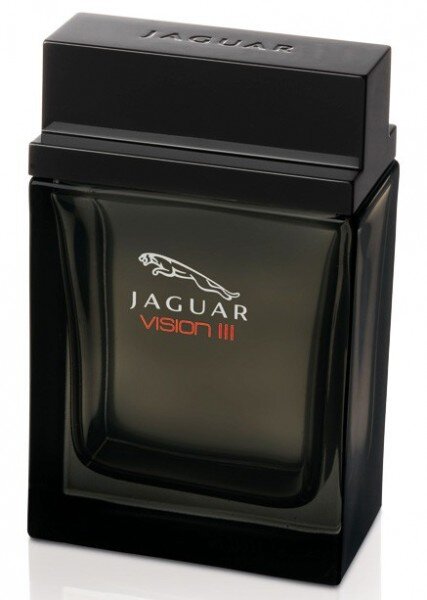 Jaguar Vision III EDT 100 ml Erkek Parfümü kullananlar yorumlar
